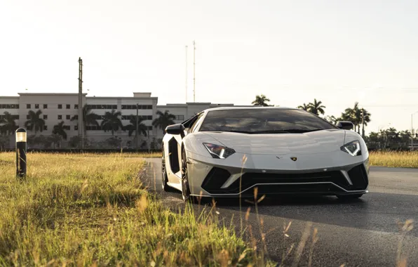 Picture Lamborghini, Sunset, White, Aventador, Face, VAG, Sight