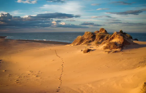 Sand, sea, the sky, grass, clouds, light, traces, shore