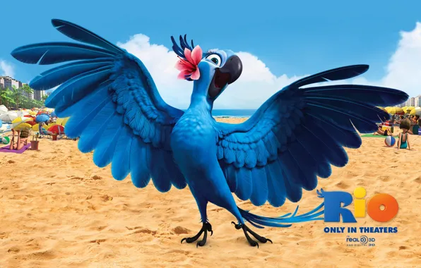 Bird, cartoon, Rio, Angry Birds, Rio