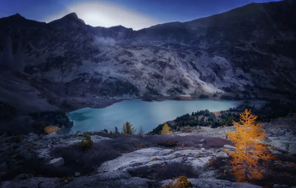 Autumn, mountains, river, Altay, Shevchenko Nikolay