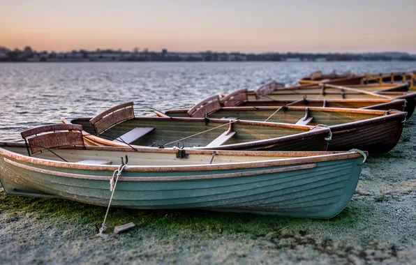 Shore, dal, boats, pond