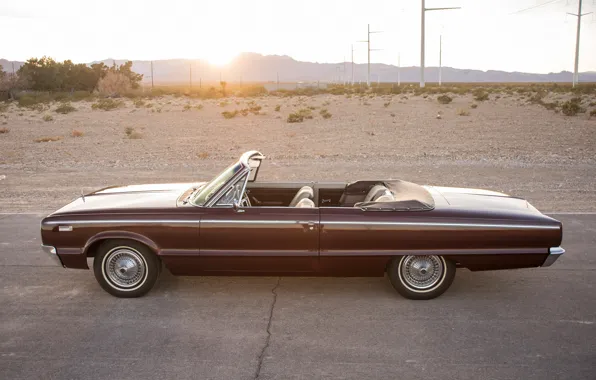Dodge, 1965, Convertible, Side view, Custom 880