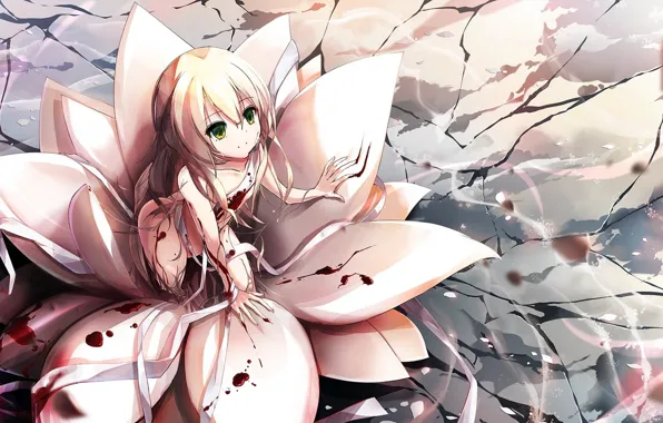 Picture flower, girl, smile, blood, anime, art, bandages, riburanomind