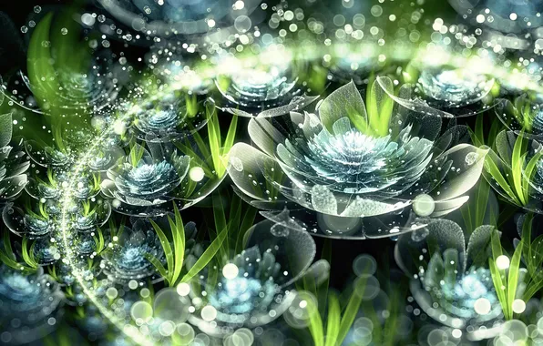 Drops, flowers, abstraction, petals, buds