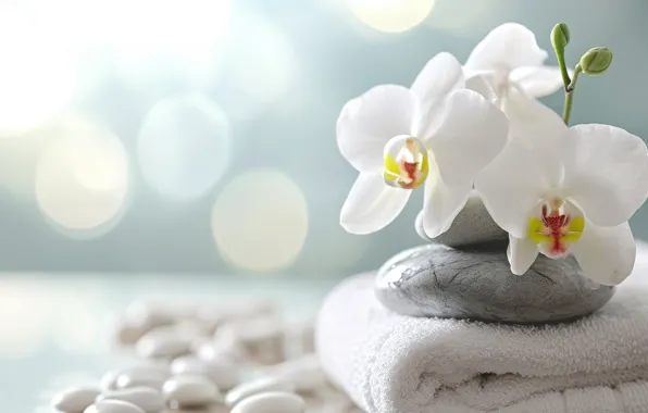 Flowers, orchids, towels, Orchid, AI art, neural network
