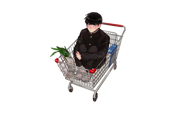 Basket, minimalism, white background, guy, products, Mob Psycho 100, Kageyama Shigeo, Mob psycho 100