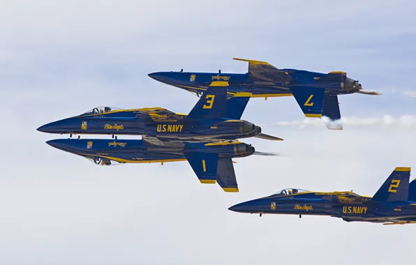 Picture figure, aerobatic team, The plane, Blue Angels, F/A-18 "Hornet", fighter-bombers