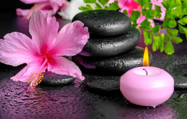 Flowers, Spa, background, Spa, candles, spa stones