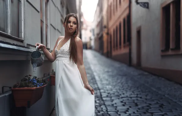 Picture flowers, pose, model, portrait, home, makeup, dress, hairstyle