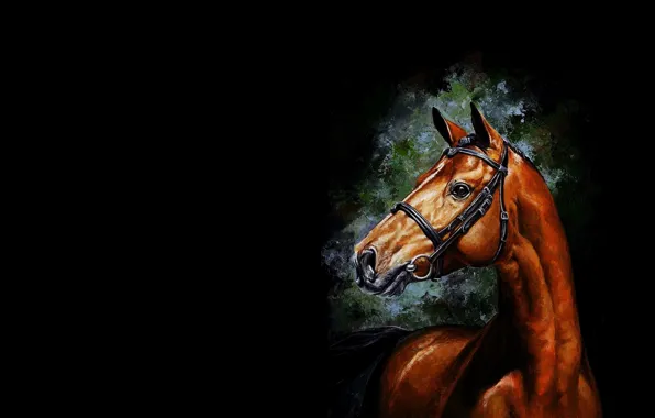 Picture horse, horse, minimalism, art