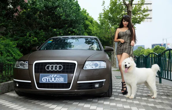 Girl, dog, car
