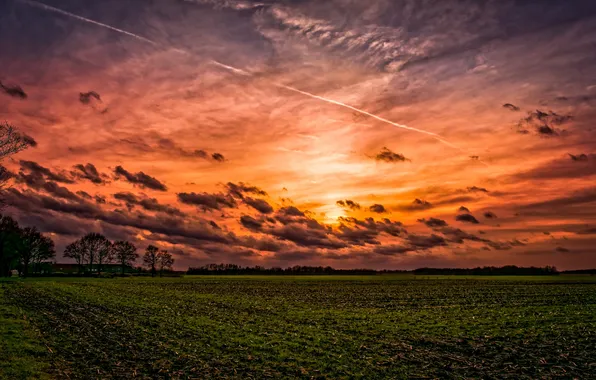 Field, the sky, sunset