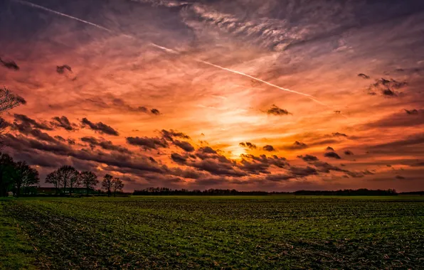 Picture field, the sky, sunset