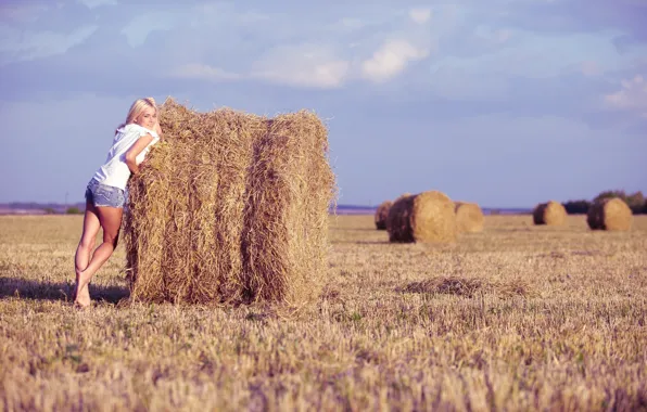 Field, look, girl, blonde, hay, legs.pose