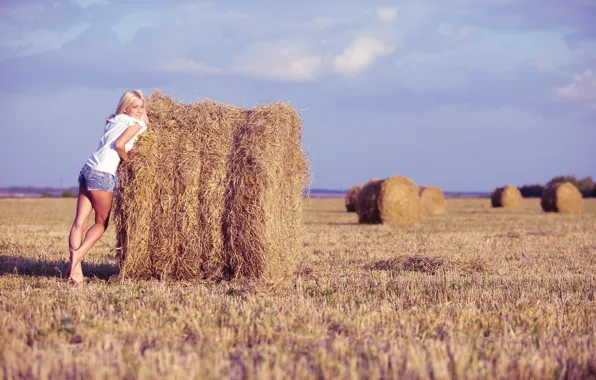 Picture field, look, Girl, blonde, hay, legs.pose