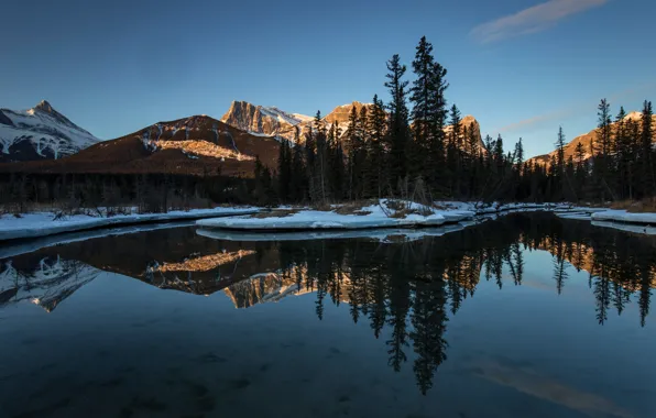 Picture winter, forest, the sky, light, snow, mountains, reflection, rocks