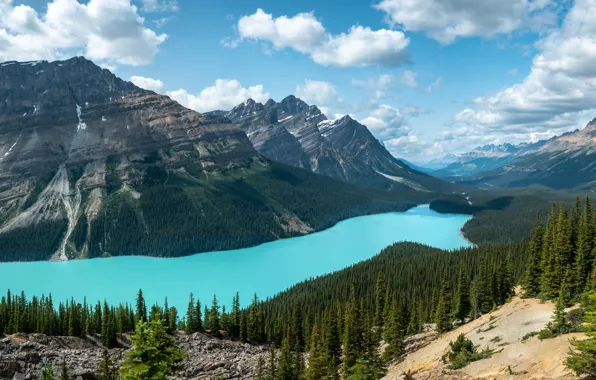 Forest, the sky, clouds, mountains, lake, blue, shore, view