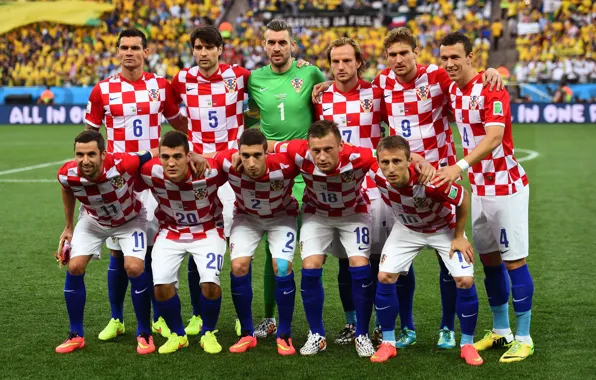 Brazil, Darijo Srna, Player, Brasil, Darijo Srna, World Cup 2014, World Cup 2014, World Cup …