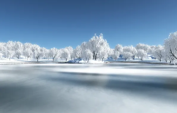 Winter, forest, snow, river