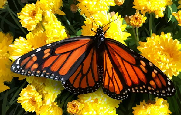 Flowers, butterfly, field