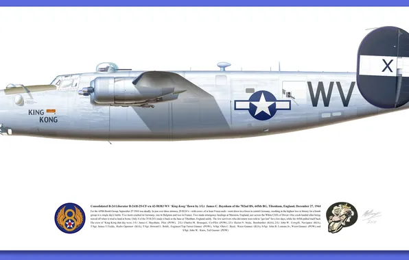 Design, American, p 51d decals
