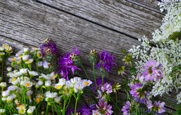 Background, Tree, Lilac, wildflowers