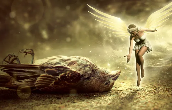 Fairy, Sparrow, girl, bird