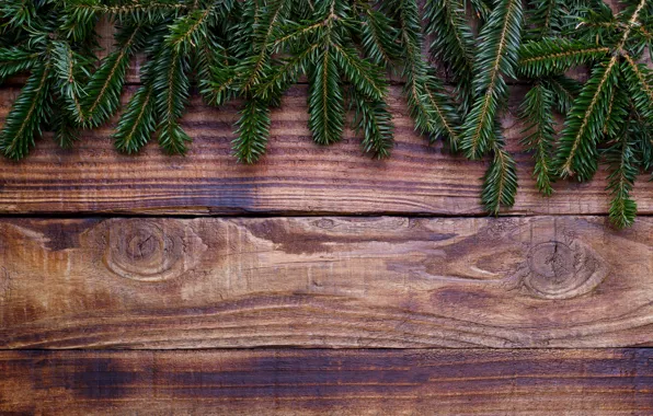 Background, tree, Board, tree, Christmas, wood, background, fir tree