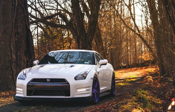 GTR, Nissan, Autumn, R35, Wheels, Forest, Incurve