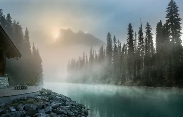 Picture trees, landscape, mountains, nature, fog, lake, house, dawn