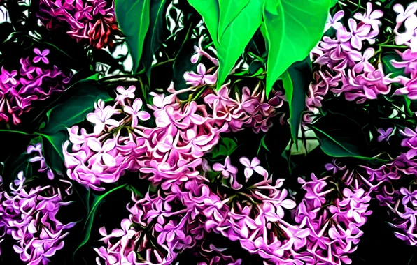 Picture leaves, flowers, rendering, figure, petals, lilac
