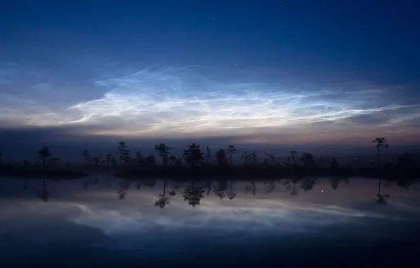 Forest, the sky, stars, nature, fog, river, shore, the evening
