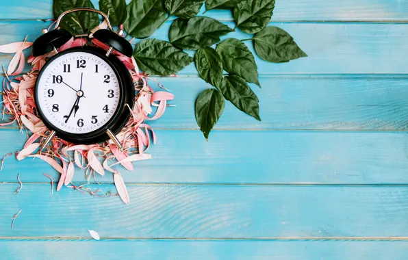 Leaves, petals, alarm clock