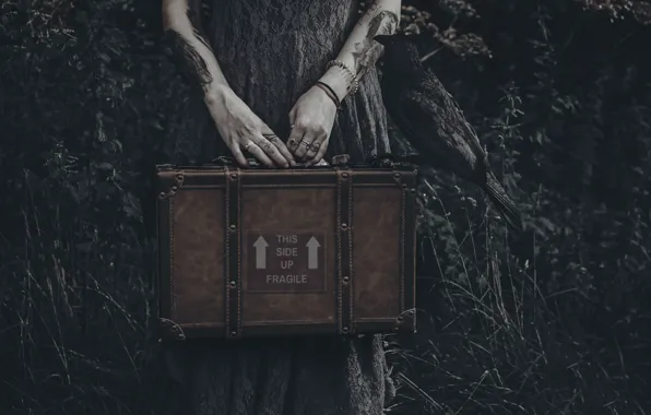 Hands, suitcase, crow, Lucz Anne Fowler
