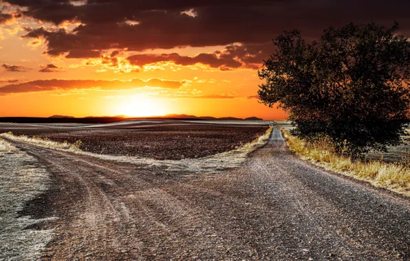 Road, sunset, fork