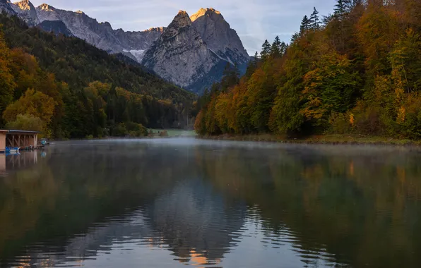 Trees, mountains, fog, lake, morning, Evgenia Cech, Riessersee
