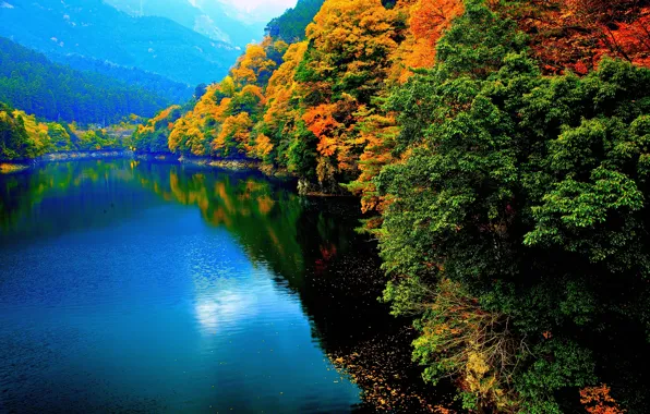 Picture autumn, trees, mountains, lake