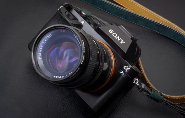 Macro, background, camera