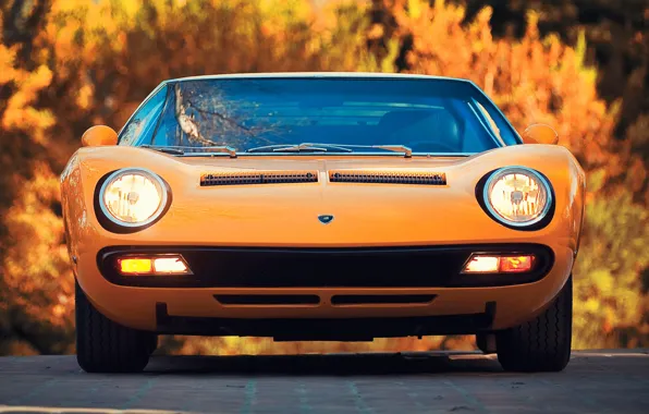 Auto, Lamborghini, Machine, Orange, Eyelashes, 1971, Lights, Car