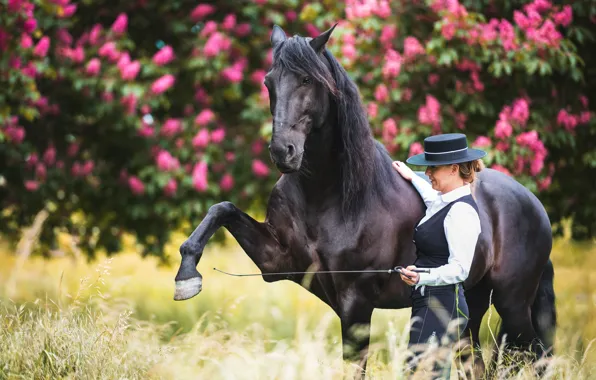 Flowers, pose, horse, woman, horse, hat, garden, the bushes