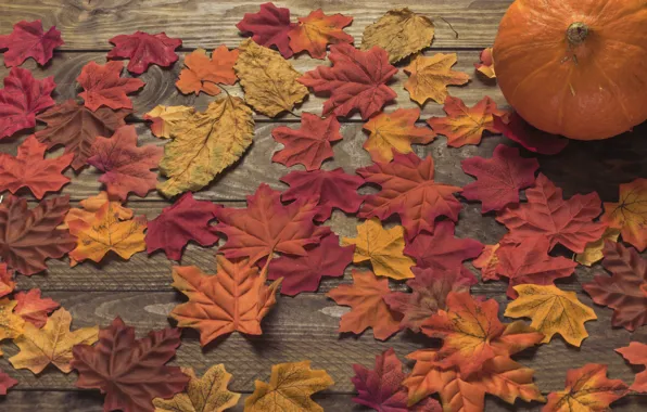 Autumn, leaves, background, tree, colorful, Board, wood, background