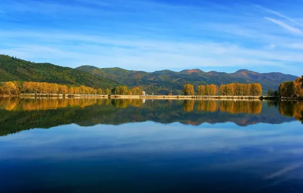 Trees, lake, reflection