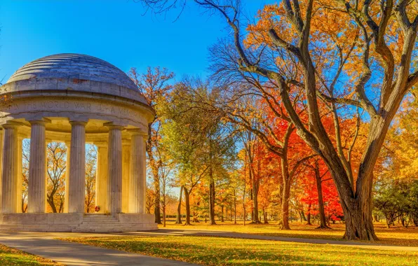 Picture autumn, leaves, the sun, trees, Park, yellow, Washington, USA