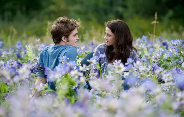 Picture field, flowers, Eclipse, Kristen Stewart, twilight, Robert Pattinson, two, twilight