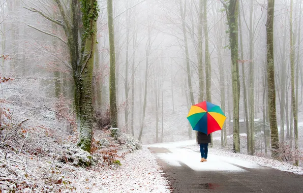 Road, trees, umbrella, walk