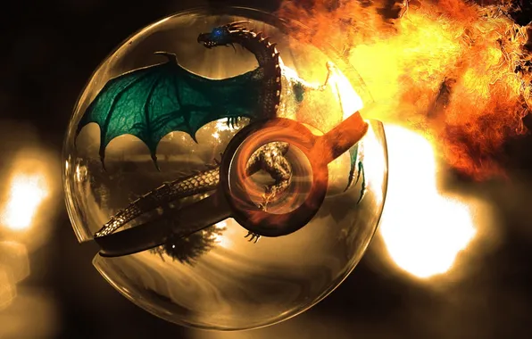 Fire, dragon, ball, art, sphere, pokemon, pokeball, charizard