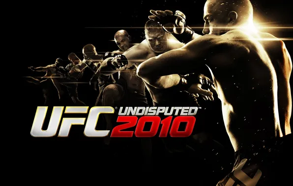 Picture 2010, fighters, UFC, UNDISPUNED