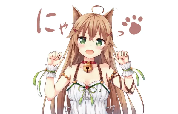 Girl, white background, neko, kitty