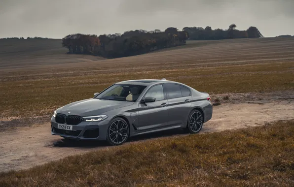 BMW, Grey, BMW, Sedan, Sedan, xDrive, M Sport, G30
