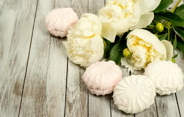 Picture Board, white, peonies, marshmallows
